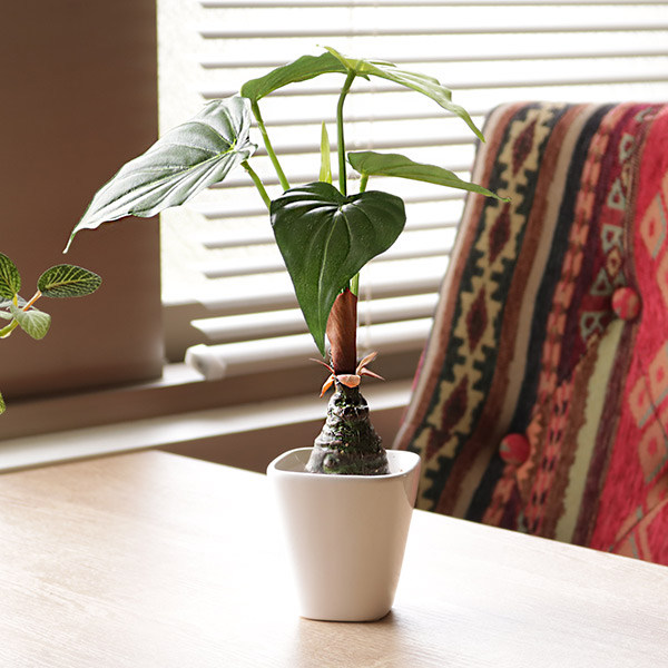 アロカシア 30cm フェイクグリーン  人工観葉植物 日本製