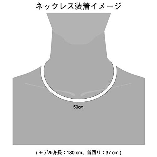 【phiten/ファイテン】RAKUWA 磁気チタンネックレス BULLET ブラウン/ゴールド 50cm 0217TG738153