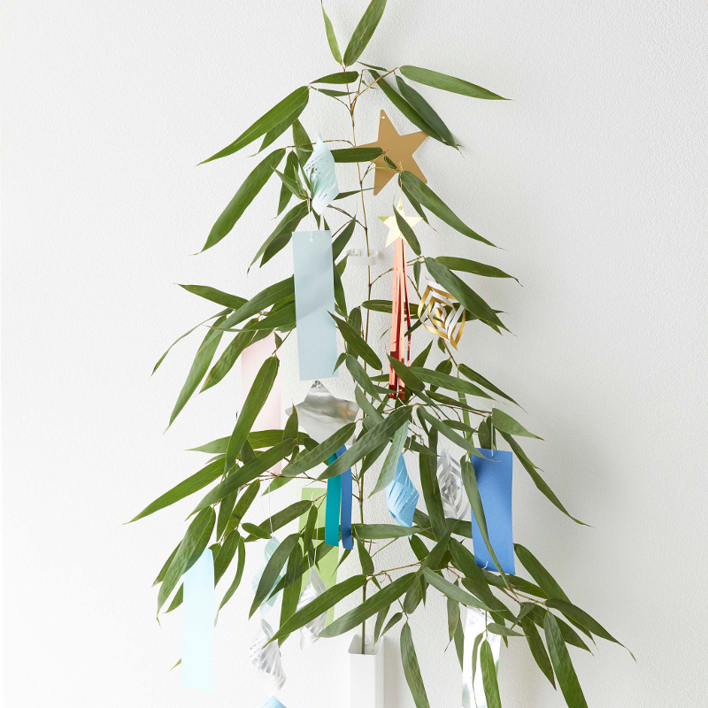 熊手 CAINZ-DASH】加藤伝蔵商店 荒熊手 12本爪 A016【別送品