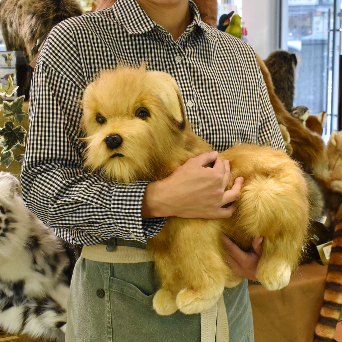 ハートマークショップ】犬ぬいぐるみ ノーフォークテリア ・通販サイト