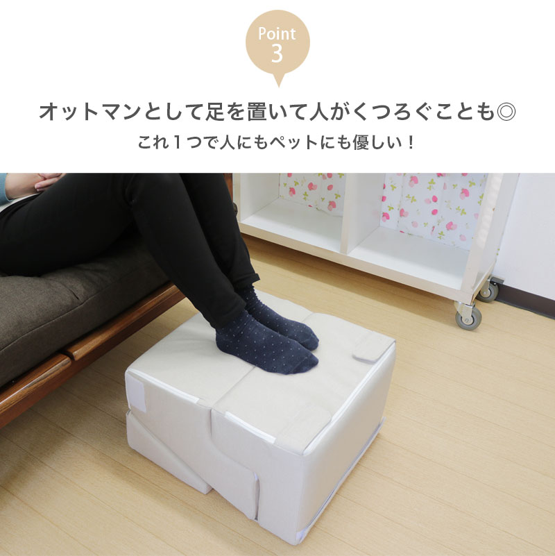 81fp8W2bu5L._AC_UF1000,