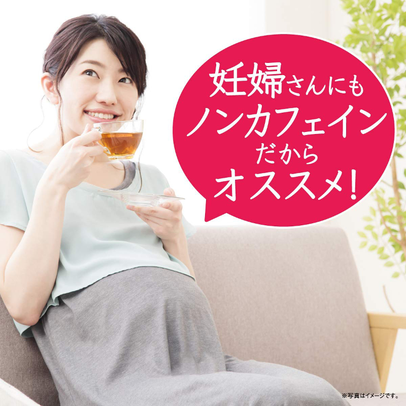 ハートマークショップ】【伊藤園】 ヘルシー ルイボスティ ペットボトル 500ml （24本入り） 1ケース ・通販サイト
