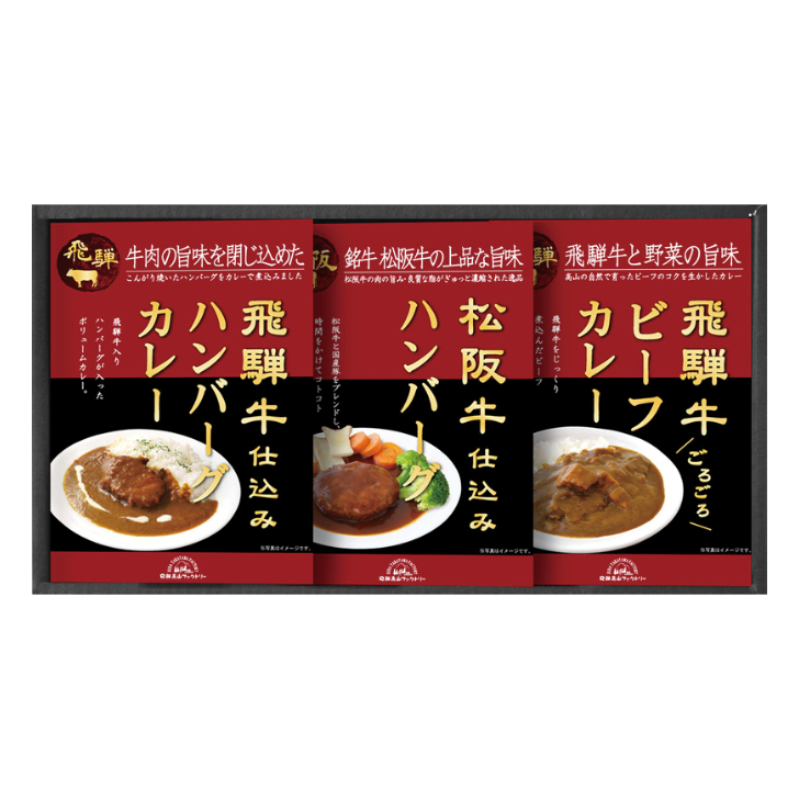 【飛騨高山ファクトリー】松阪牛・飛騨牛仕込みハンバーグ＆カレー詰合せ HBK-22
