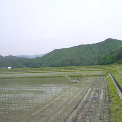 令和5年産 山形県産 特別栽培米（減化学肥料・減農薬） コシヒカリ 2kg 遠藤五一さん作