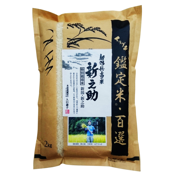新米・令和5年産 新潟県産 特別栽培米（減化学肥料・減農薬） 新之助 2kg 山下岳幸さん作