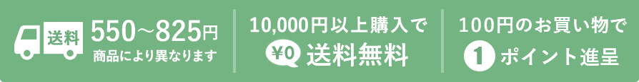 送料550～825円 10,000円以上購入で送料無料　100円のお買い物で1ポイント進呈